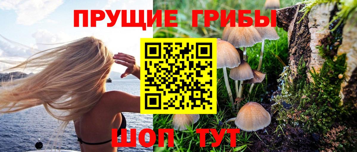 Псилоцибиновые грибы мухоморы Шахты