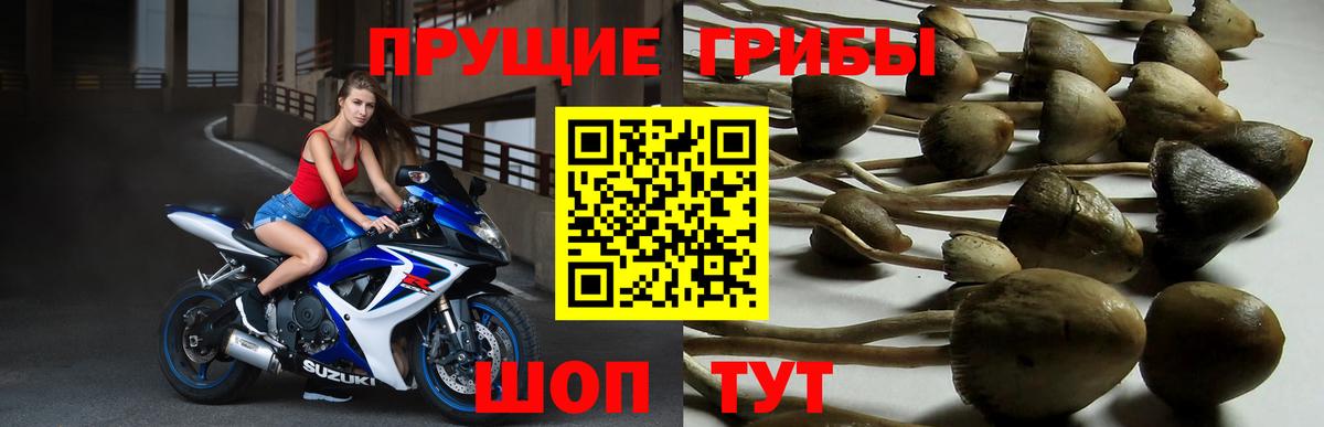 Псилоцибиновые грибы ЛСД  Вход с VPN  Шахты  Галлюциногенные грибы Magic Shrooms 